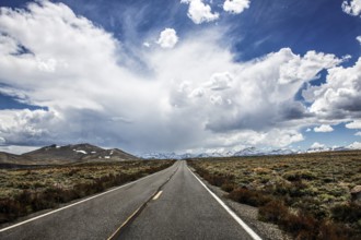 Thunderstorm front on Highway 6, Montgomery Pass, Excelsior Mountains, Nevada, USA, North America