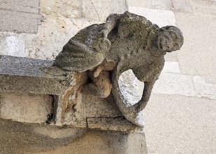 Detail corner south transept: monkey as cleric, St., Sankt, Saint