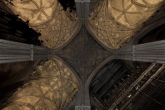 Seville, Cathedral, Vault of the Cathedral, St., Saint, Saint