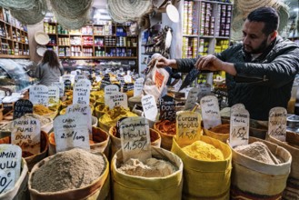 Salesman, spices, oriental spice trade in Noailles, Marseille, France, Europe