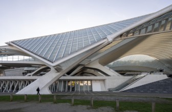 Liège, Liège-Guillemins railway station, design 2009 Santiago Calatrava, concrete pillars and