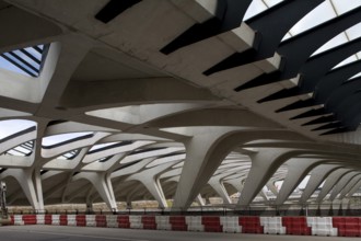 Lyon, Gare de Saint-Exupéry TGV, (formerly Gare de Satolas)