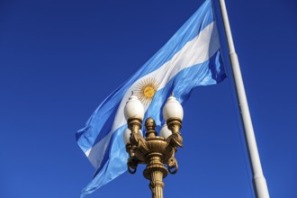 Argentine flag at the Plaza Mayor, Buenos Aires, Argentina, South America