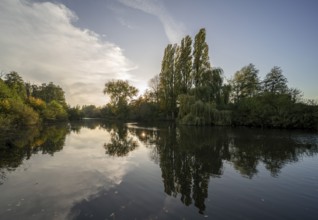 Krefeld, Niepkuhlen nature reserve, Old Rhine arm