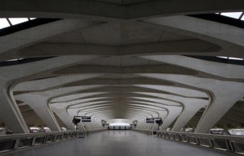 Lyon, Gare de Saint-Exupéry TGV, (formerly Gare de Satolas)