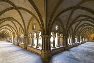 Cloister, St., Saint, Saint