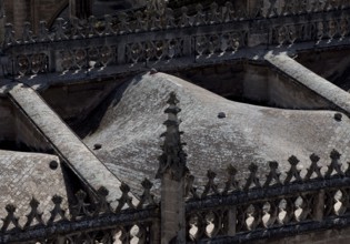 Seville, Cathedral. Roofscape, St., Saint, Saint