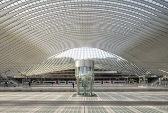 Liège, Liège-Guillemins railway station, design 2009 Santiago Calatrava, station concourse