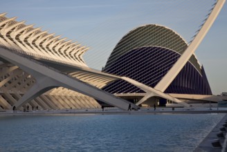 City of Arts and Sciences (cat./val. Ciutat de les Arts i de les Ciències), left MUSEO DE LAS