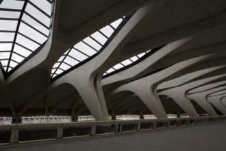 Lyon, Gare de Saint-Exupéry TGV, (formerly Gare de Satolas)