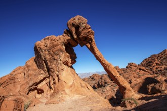 Elephant Rock, Valley of Fire State Park, Nevada, USA, North America