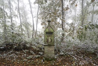 Station of the Way of the Cross in the forest, St., Saint, Saint