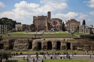 View from the east of the Colosseum with tower of Santa Francesca Romana, St., St., Saint