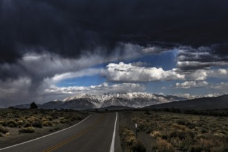 Thunderstorm front on Highway 6, Montgomery Pass, Excelsior Mountains, Nevada, USA, North America