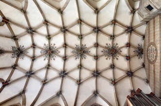 Bad Urach, Collegiate Church of St Amandus, St Amandus, vault in the choir