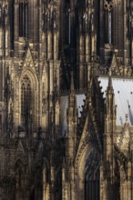 Cologne, view of the cathedral from the right bank of the Rhine, detail of transept and towers