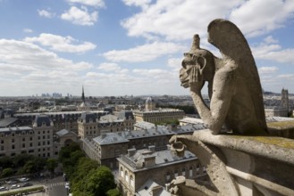 Chimera on the north tower with a view of the city, St., Sankt, Saint