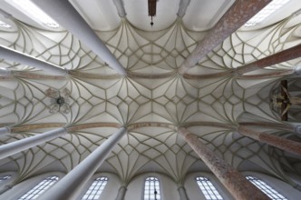 Vault in the nave, St., Sankt, Saint