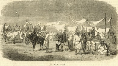 Carangola fair, India, Asia