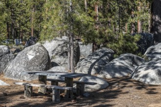 Campsite Sapphire Cove, Lake Tahoe, Nevada, USA, North America