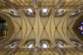 The Cathedral and Collegiate Church of St Saviour and St Mary Overie, chancel vault, St, Saint,