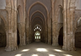 Fontenay Abbey Church Interior to the altar, St, Saint, Saint