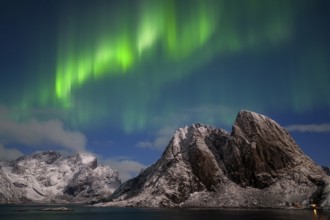 Northern Lights (Aurora borealis), Aurora Borealis, Lofoten, Norway, Europe