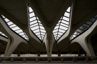 Lyon, Gare de Saint-Exupéry TGV, (formerly Gare de Satolas)