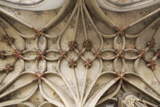 Chapel of St Mary on the north side (new sacristy), ribbed vault, St, Saint, Saint