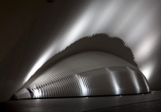 City of Arts and Sciences (cat./val. Ciutat de les Arts i de les Ciències), cinema L'Hemisfèric (el