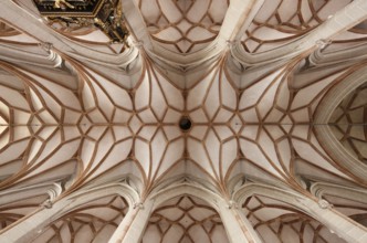 Vault in the nave, St., Sankt, Saint