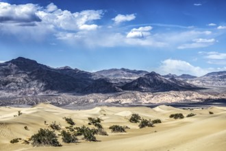 Mesquite Dunes, Death Valley National Park, California, USA, North America