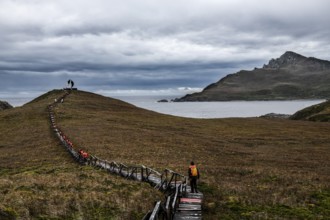 Wooden boardwalk to the Monumento Cape Horn, Cabo de Hornos National Park, southernmost point of