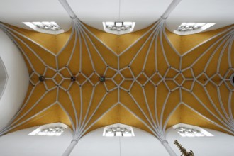 Vault in the nave, St., Sankt, Saint