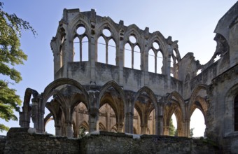 Cistercian abbey mid 13th century, church ruins, choir from north, St., Sankt, Saint