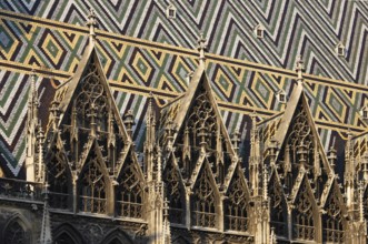 Wimperge and coloured roof tiles on the south side, St., Sankt, Saint