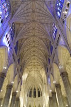 Saint Patricks Old Cathedral or Old St. Patricks, Lower Manhattan, Majestic vault of a church with