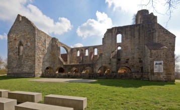 Walbeck (Aller), ruins of the former Benedictine collegiate church of St. Marien, view from