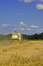 Combine harvester