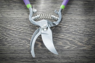 Agriculture pruning shears on wooden board