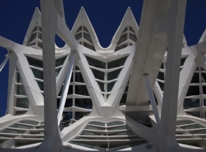 City of Arts and Sciences (cat./val. Ciutat de les Arts i de les Ciències), MUSEO DE LAS CIENCIAS,