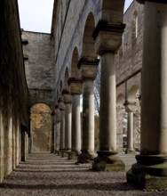 Paulinzella, monastery ruins. Main construction period 1105-24 since 16-17th century Ruin View