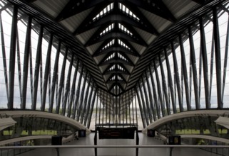 Lyon, Gare de Saint-Exupéry TGV, (formerly Gare de Satolas)