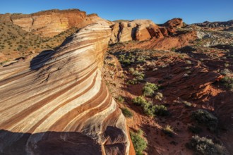 Hikers on the Fire Wave, Valley of Fire State Park, Nevada, USA, North America