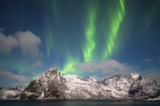 Northern Lights (Aurora borealis), Aurora Borealis, Lofoten, Norway, Europe