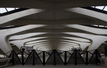 Lyon, Gare de Saint-Exupéry TGV, (formerly Gare de Satolas)