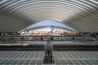 Liège, Liège-Guillemins railway station, design 2009 Santiago Calatrava, station concourse