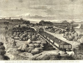 Cotton bales lying at Bombay terminus great Indian Peninsula railway ready for shipment to England,