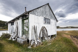 Whale skeletons off Estancia Harberton, Beagle Channel, Ushuaia, Argentina, South America