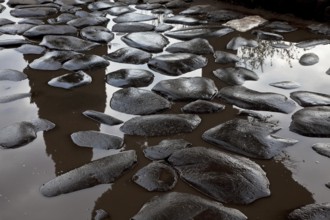 Street scene with antique paving in a puddle